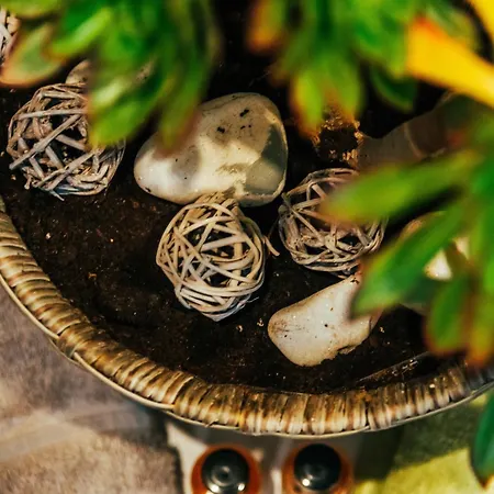 Casa Matina Apartman *