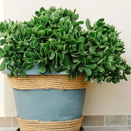 Casa Matina Apartman