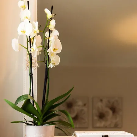 Apartamento Casa Matina *