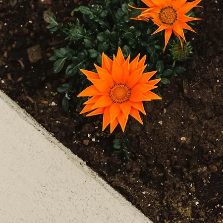 Apartman Casa Matina