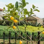 Апартаменты Casa Matina *