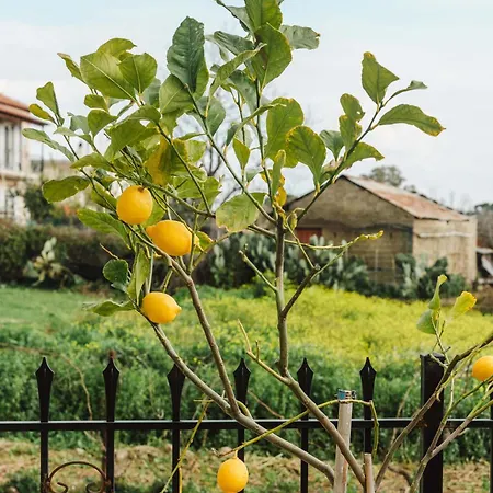 דירה Casa Matina *